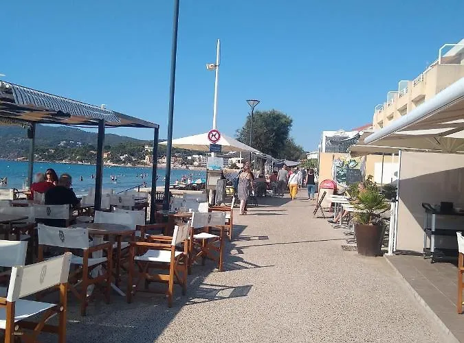 Les Sablettes, Appartement Atypique Les Pieds Presque Dans L\'Eau